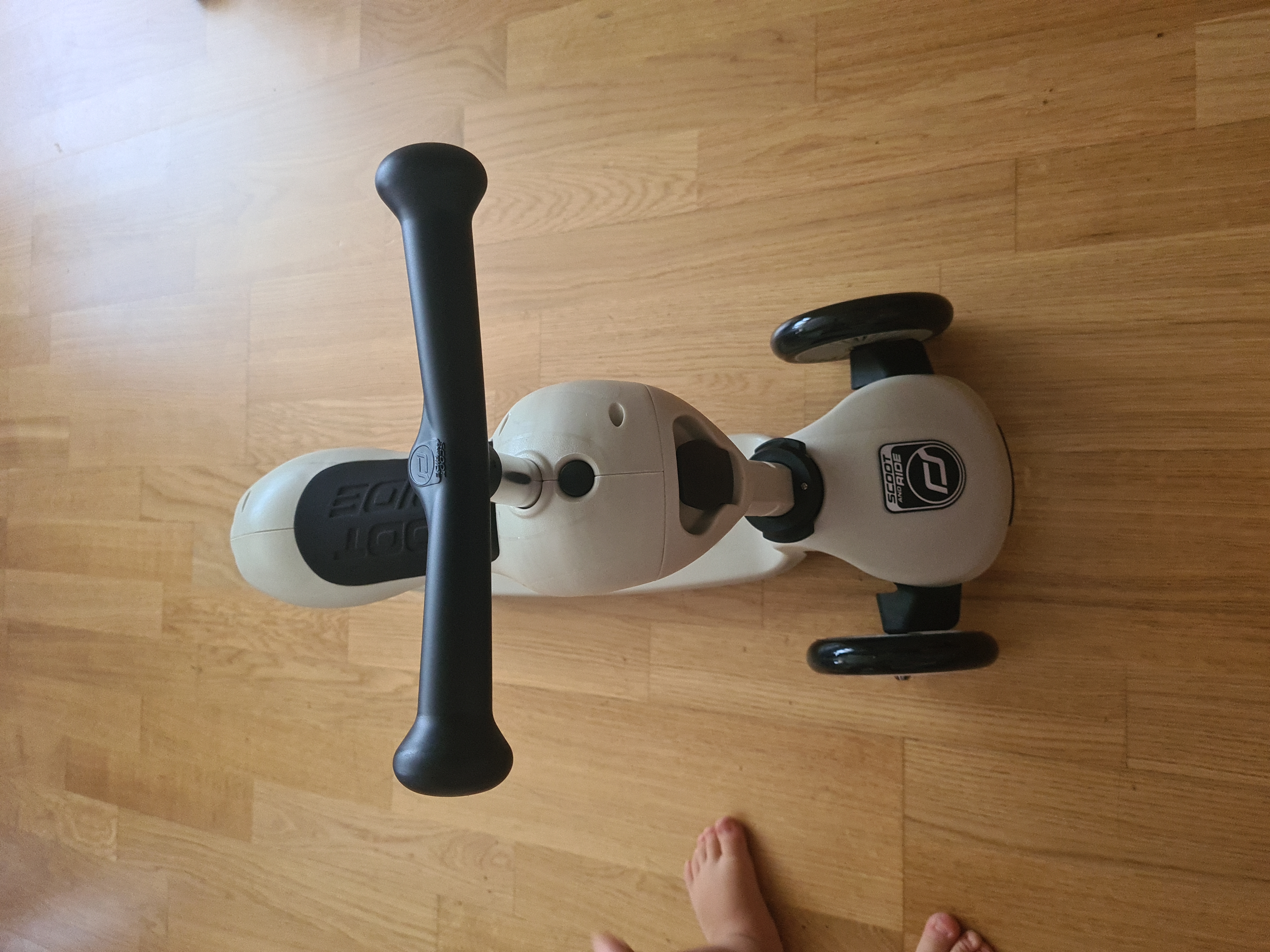 【Bicycle】Children Adjustable Seated or Standing 2-in-1 Scooter Including Safety Pad for Tip Prevention